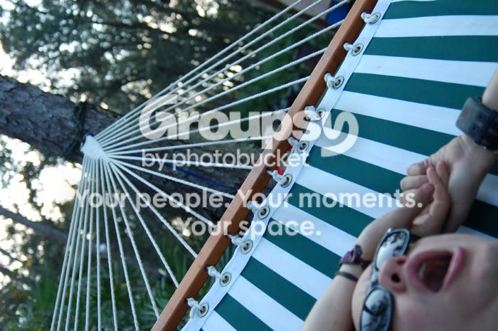 DSC_0286.jpg