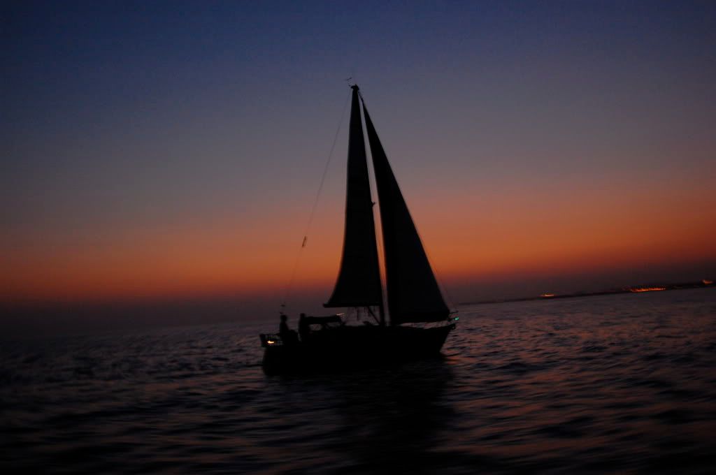 DSC_0197.jpg