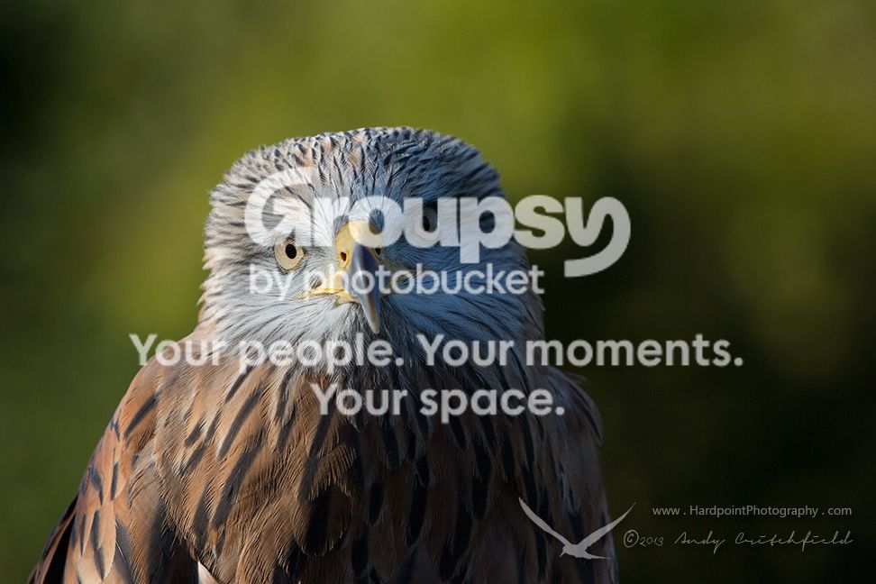 _HPP5916web_zps6de8eea4.jpg