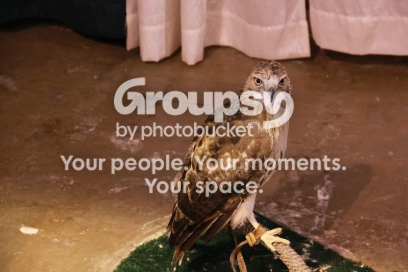 canonshots144.jpg