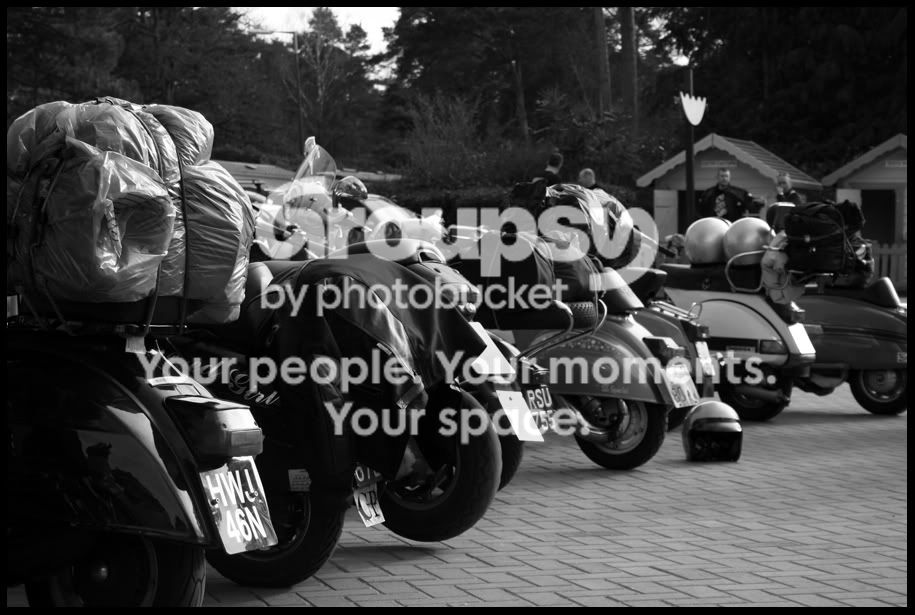 Lambrettas.jpg