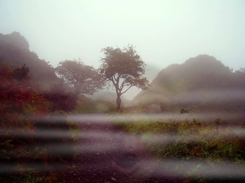 foggy.jpg