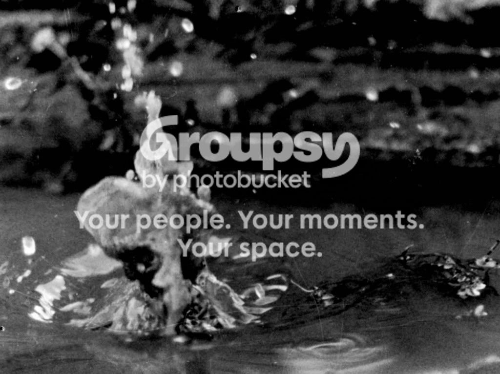 splash.jpg