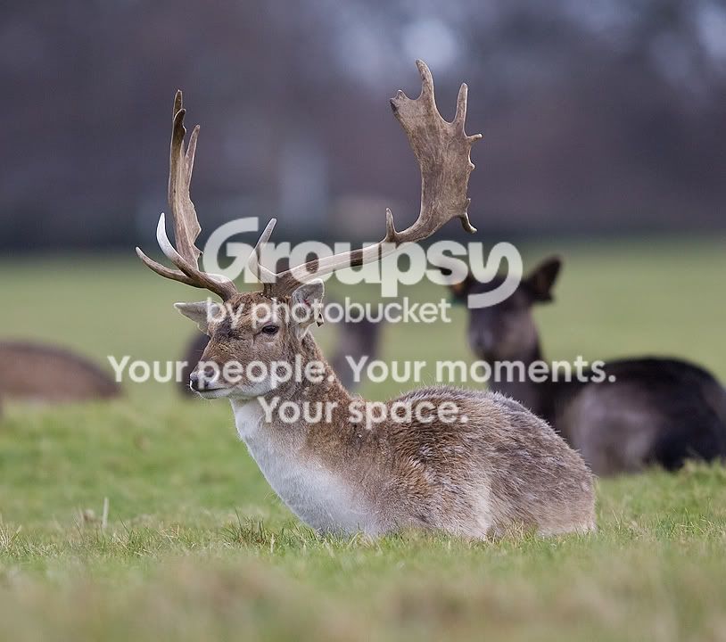 _H0X3640.jpg