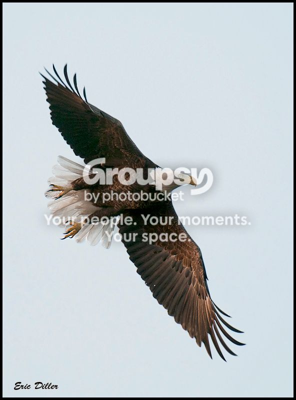 PIC_8257copycopy.jpg