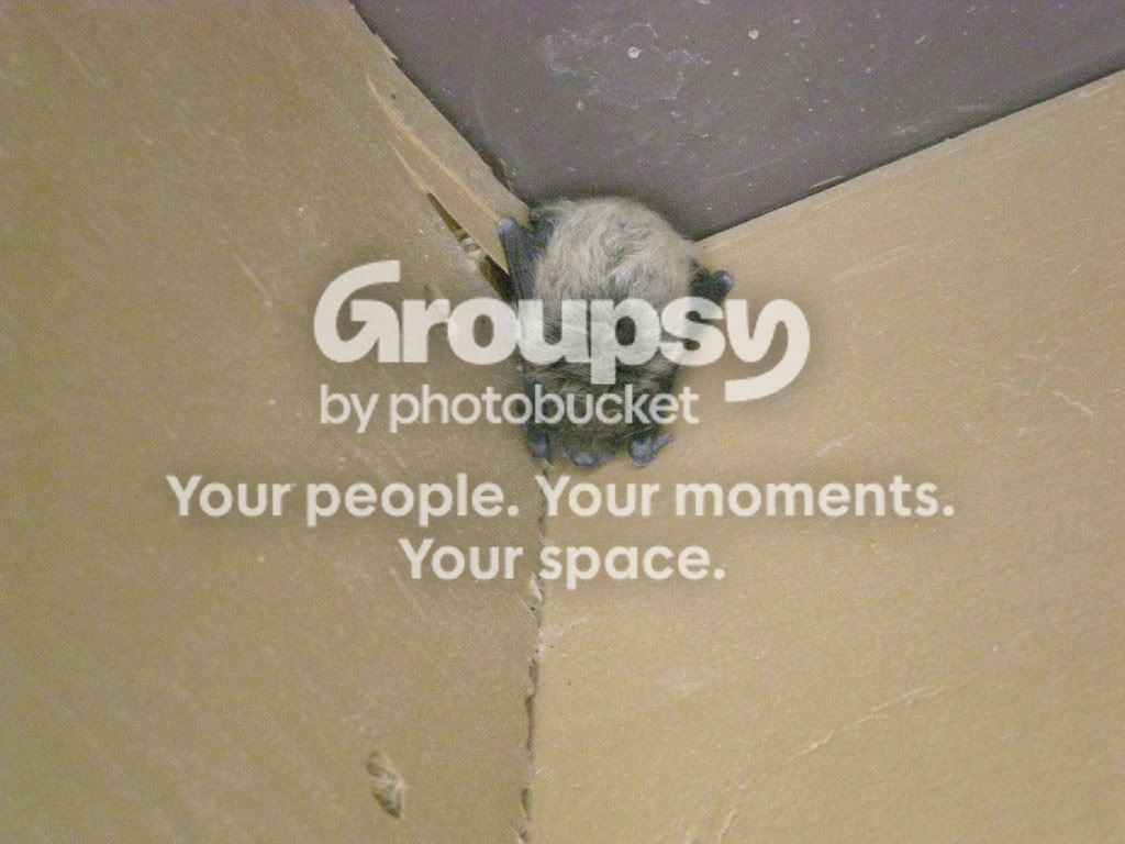 DSCN1282.jpg
