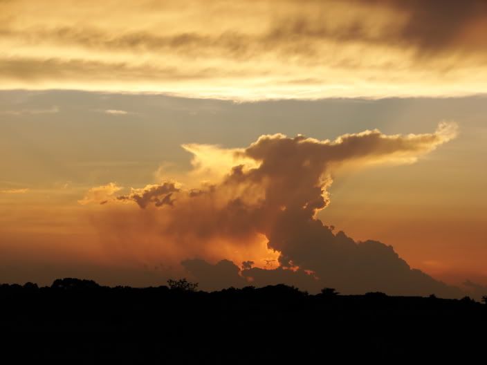 sunset5.jpg