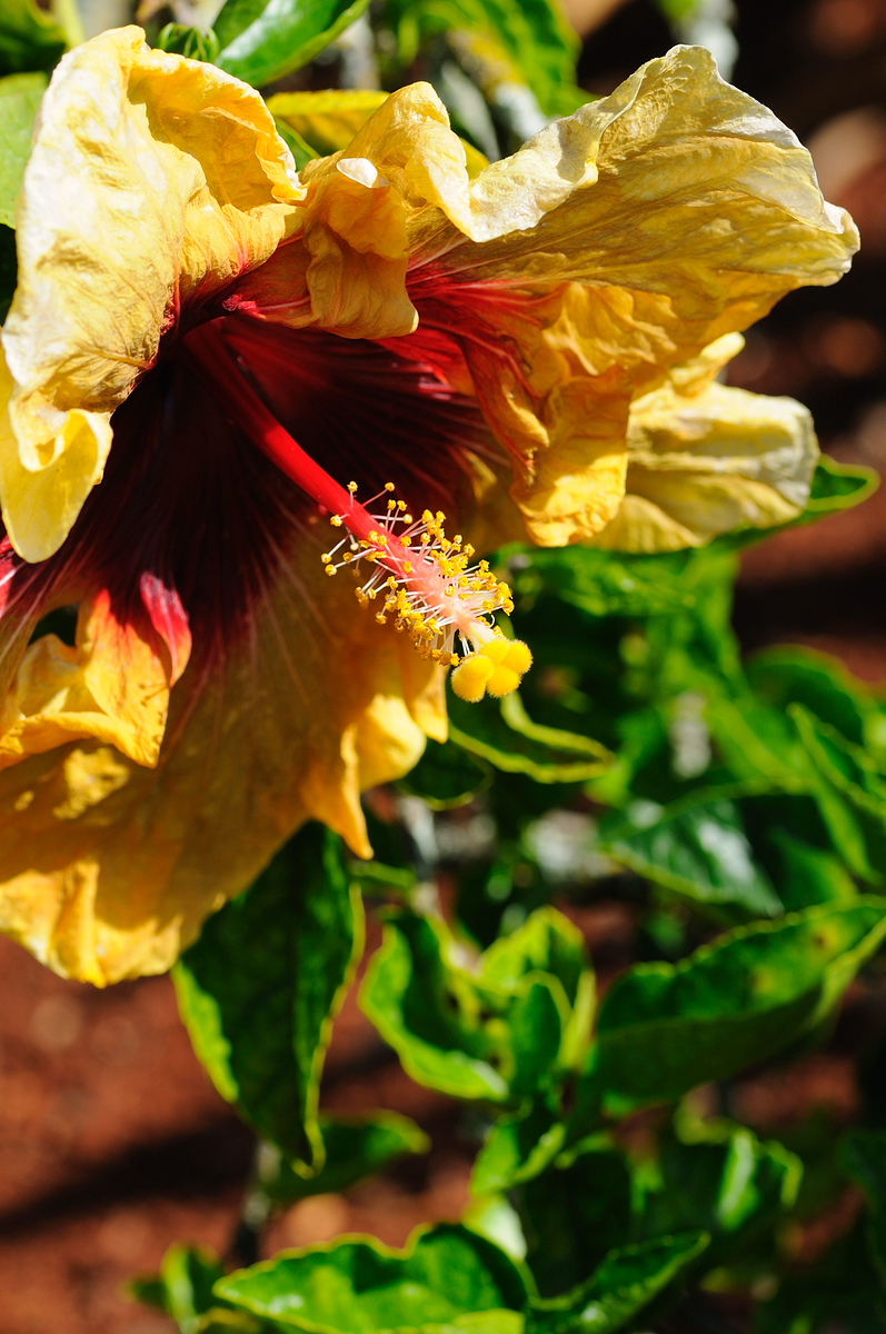 DSC_0059-X3.jpg