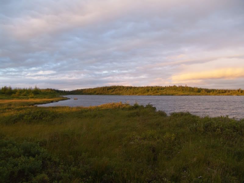 DSC02266.jpg