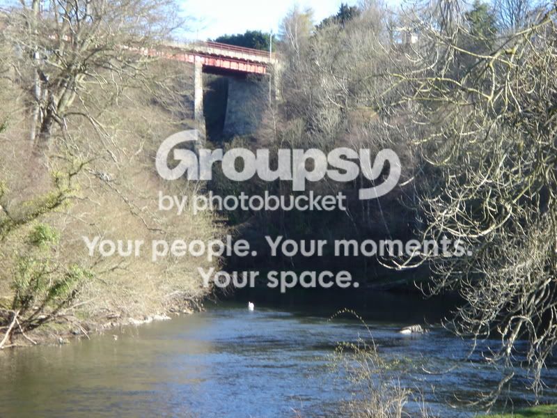 walkyday026.jpg