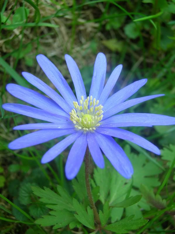DSCN0584.jpg