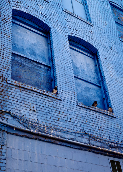DSCF5788-L.jpg