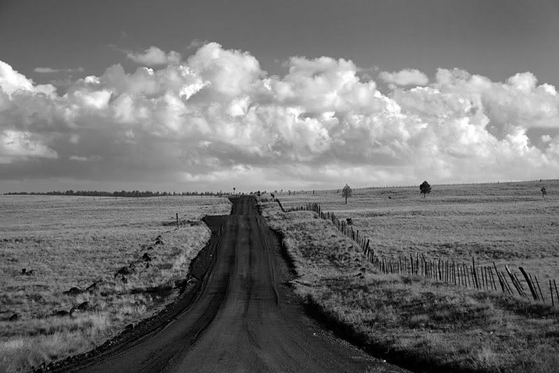 IMG_7035bw.jpg