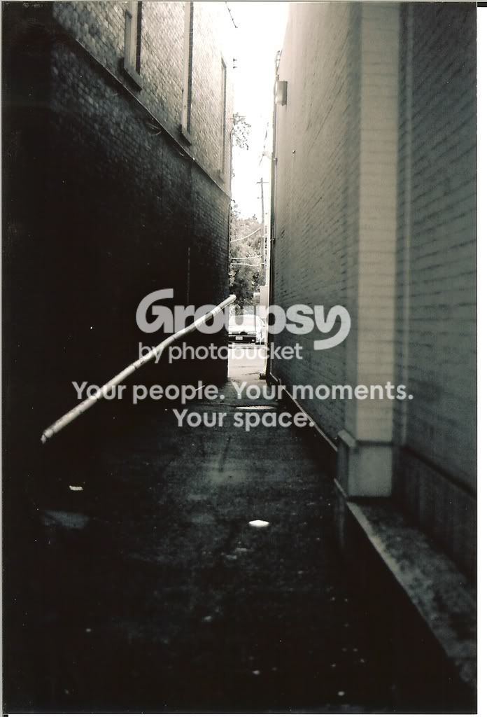 l.jpg