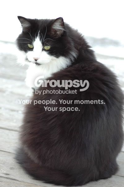 AshaPhoto.jpg