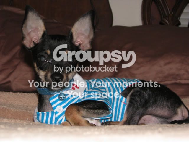 20090611_18.jpg