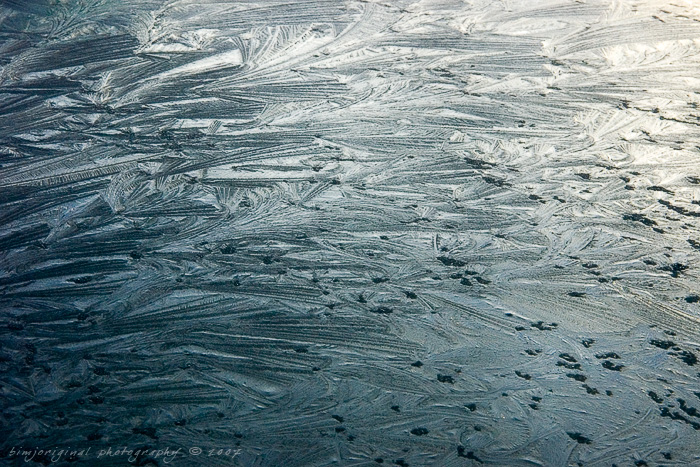 frost080106_02.jpg