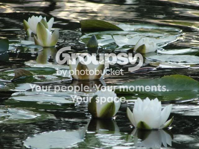 jayjayphotos110.jpg