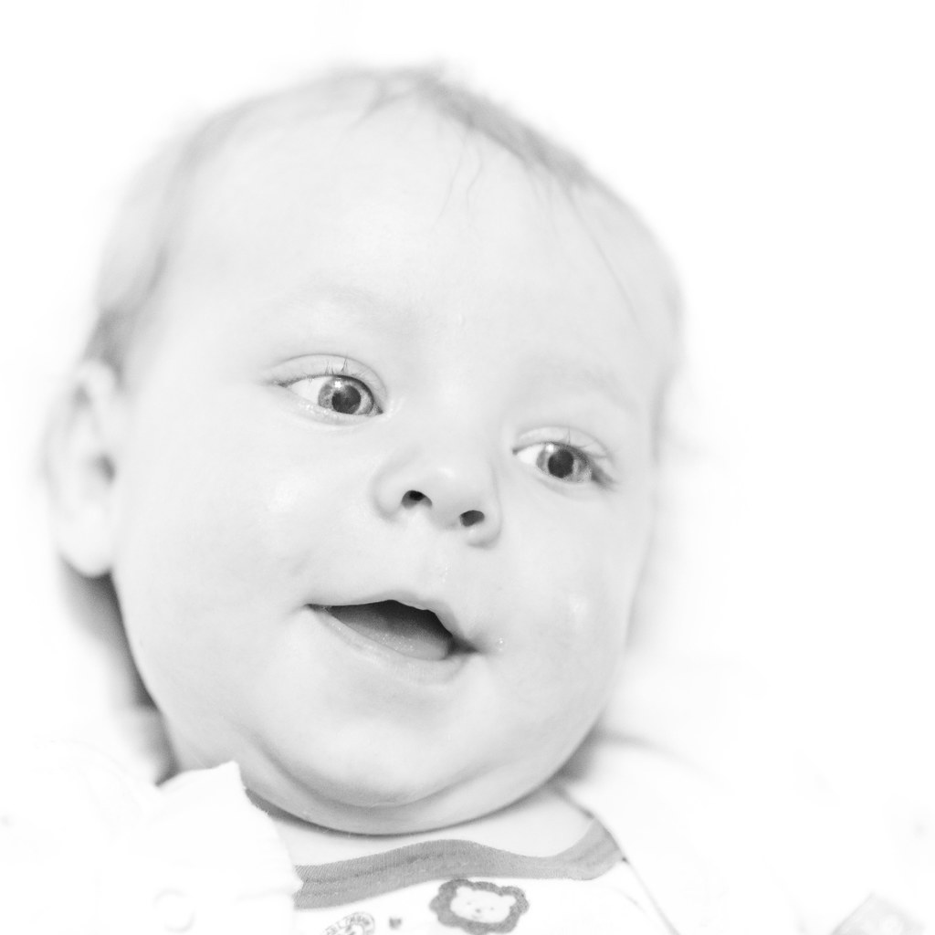 12300934004_076a451fdd_b.jpg