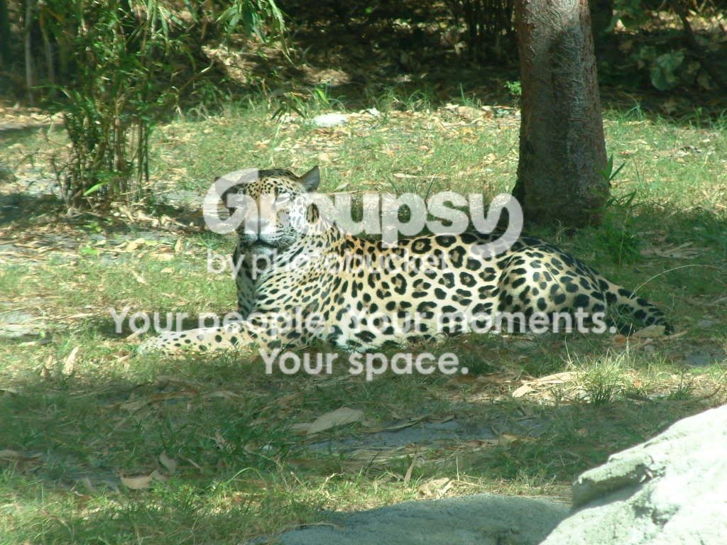 DSCF2760.jpg