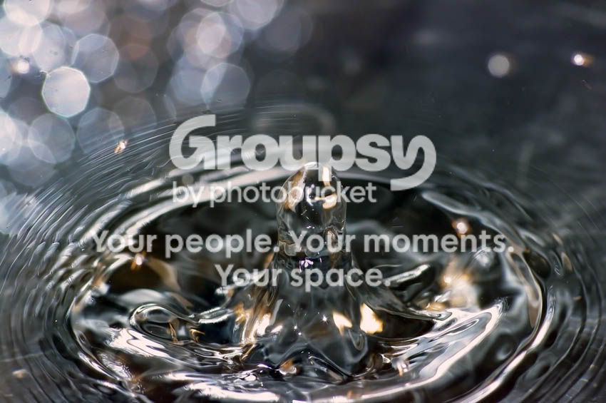 drop2.jpg