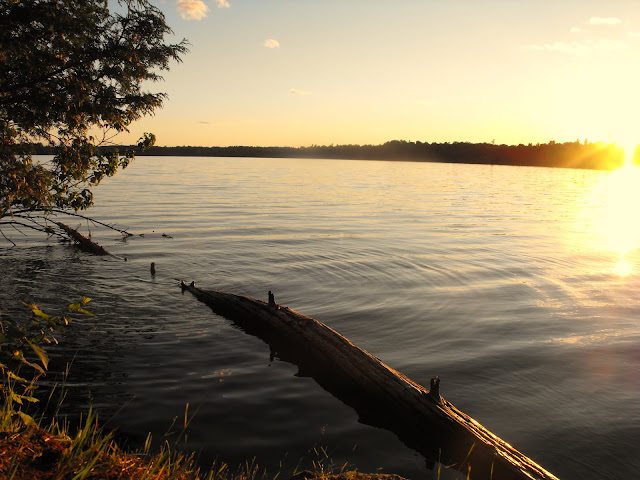DSCF8549.JPG