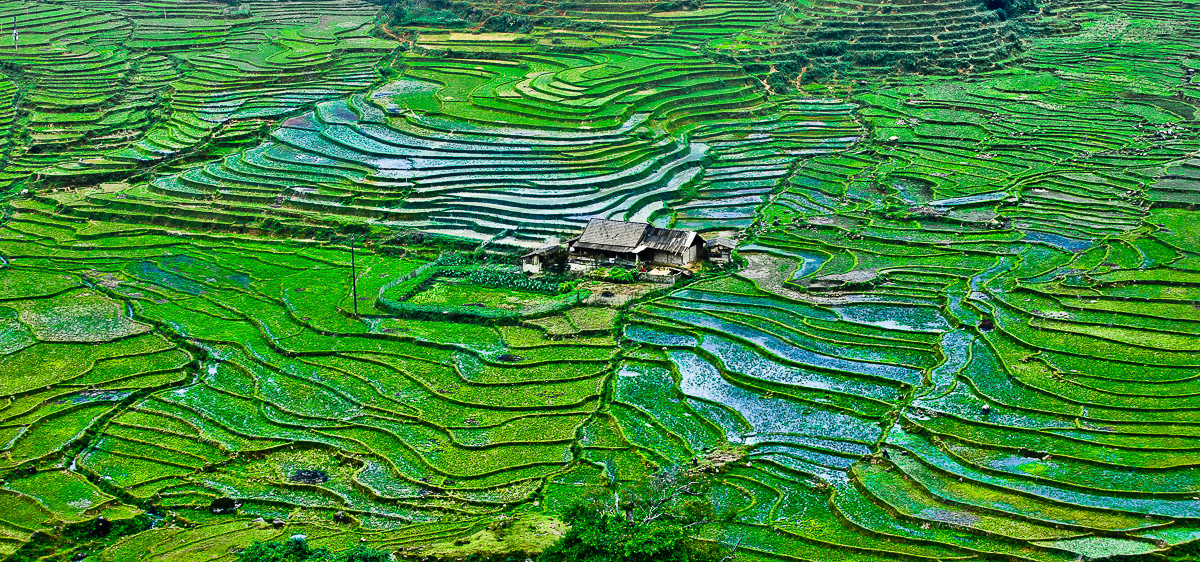 sapa.jpg
