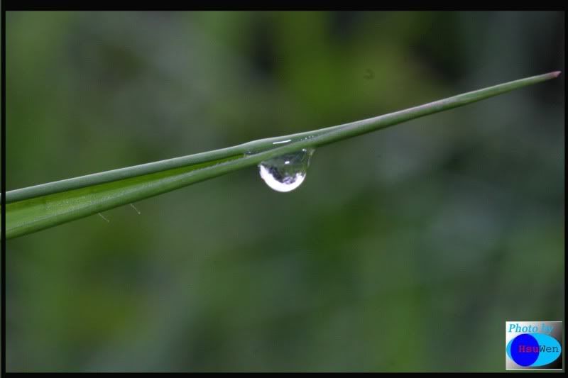 waterdrops.jpg