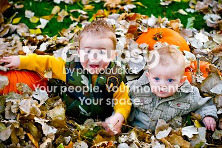 IMG_3161-3web.jpg