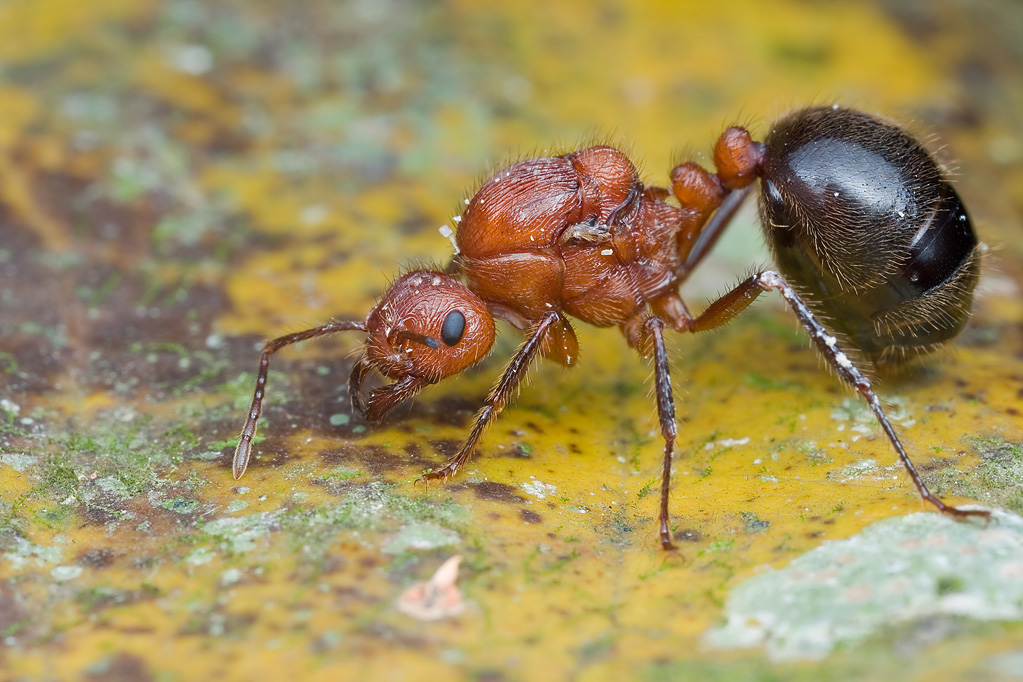 6177047335_e528d90344_o.jpg