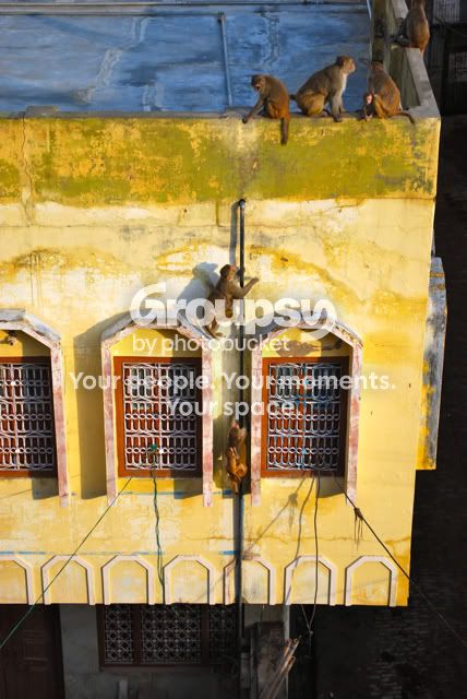 mathura1.jpg
