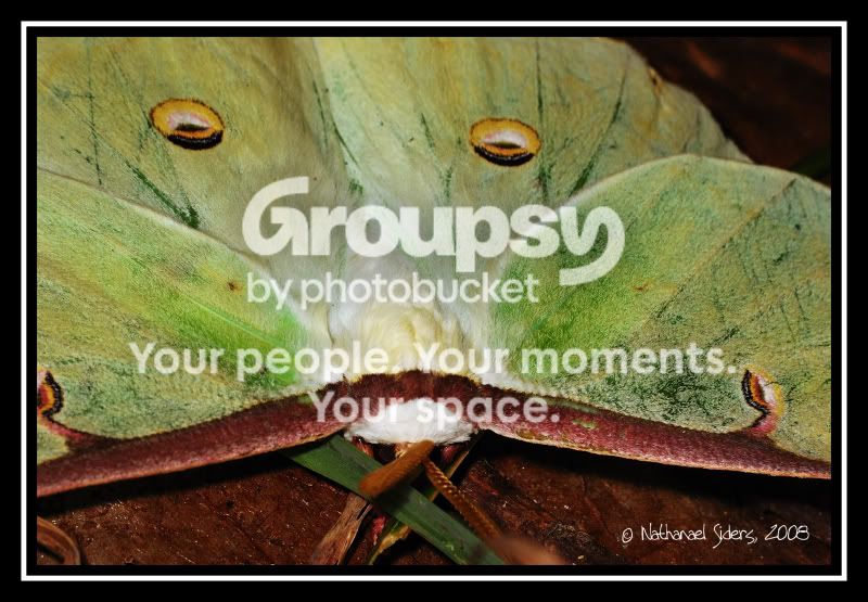 2008-08-19_10web.jpg