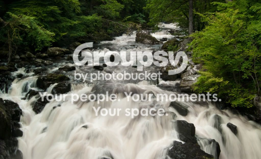 DSC02600.jpg