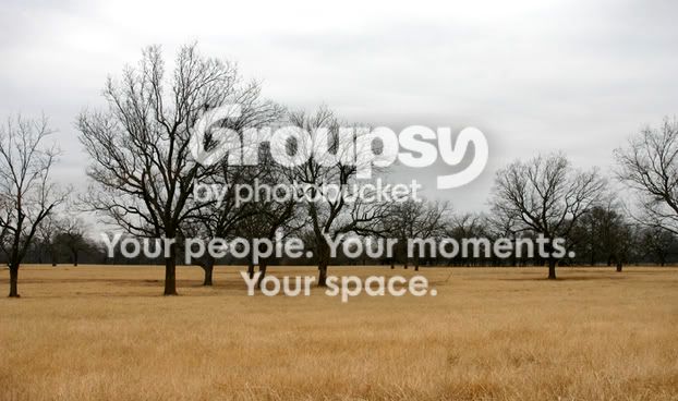 texaswinter.jpg