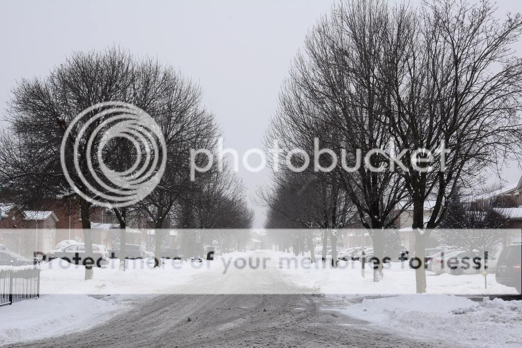 AE1_5169_zps1a015a2b.jpg