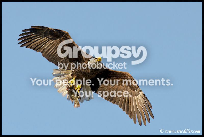 ECD_6393copy.jpg