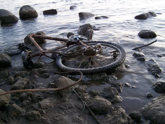 100_0420.jpg