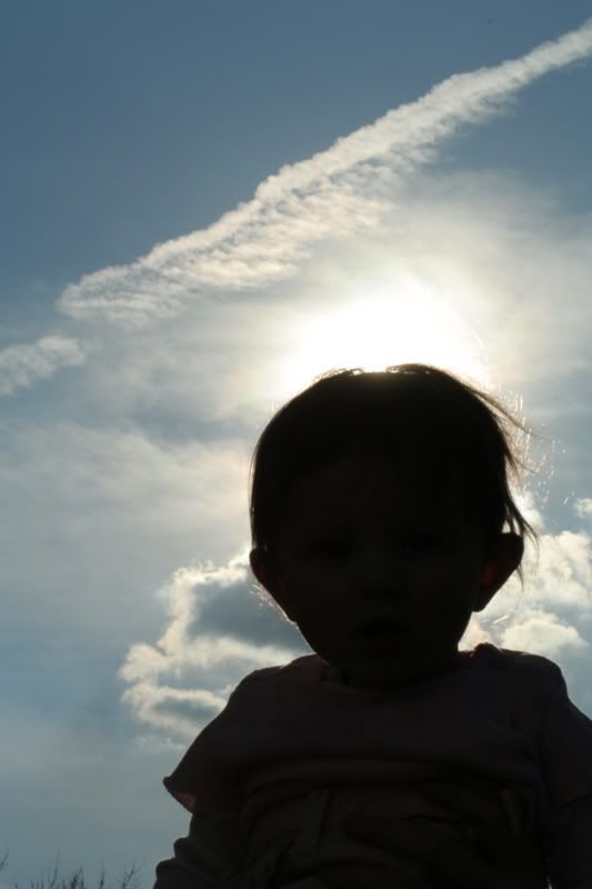 IMG_3019.jpg