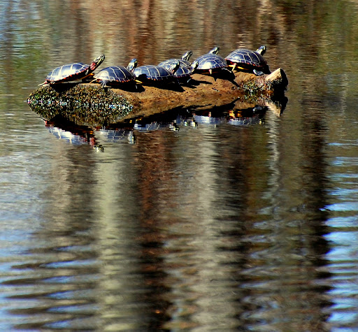 DSC_0005.JPG