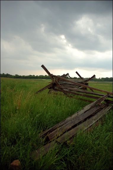 fence.jpg