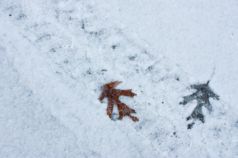 Goodbye_Fall_by_sideways_8.jpg