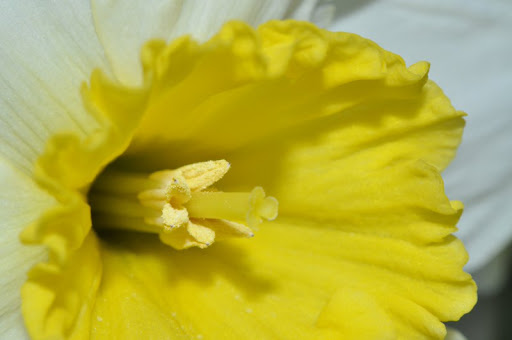 DSC_1802A_800x531.jpg