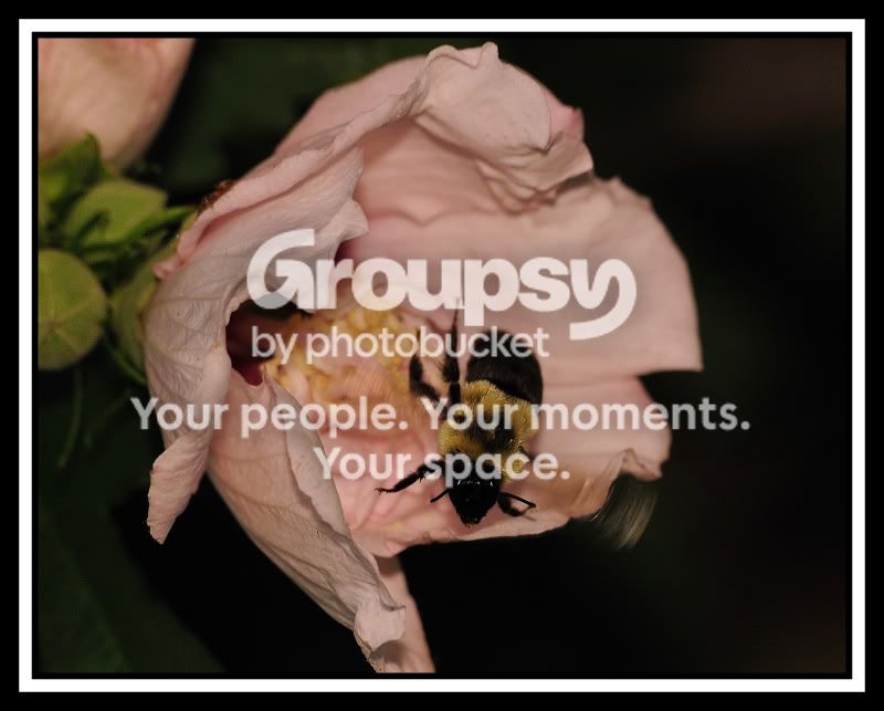2008-07-26_3_1web.jpg