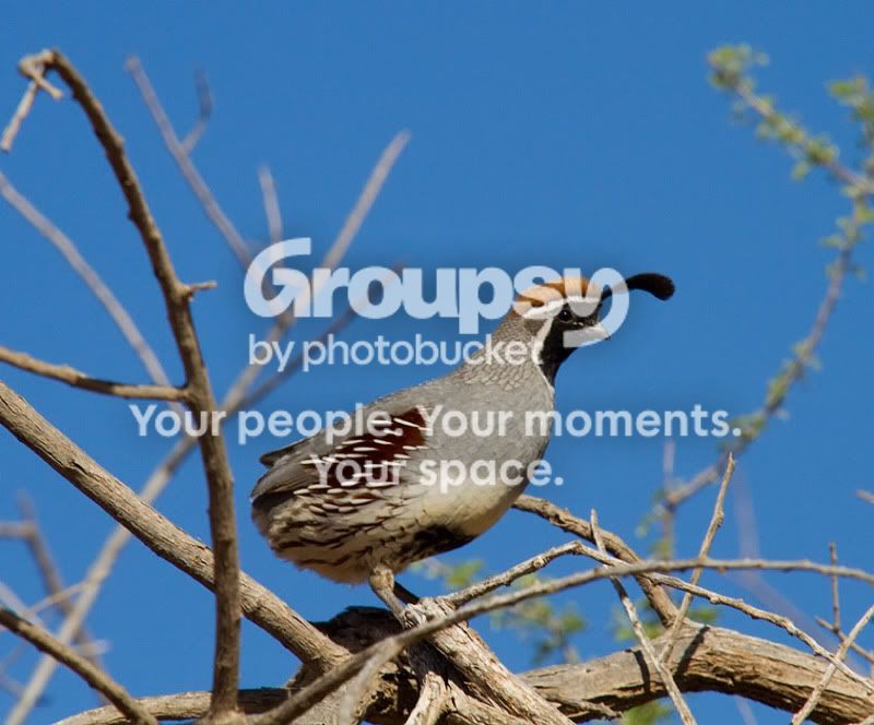 Copy2ofIMG_3984-Edit.jpg