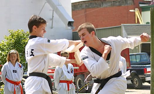 TaeKwonDo3Edit.jpg