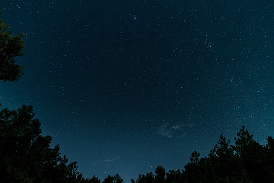 704603f4e115496da59977b1c26aca84