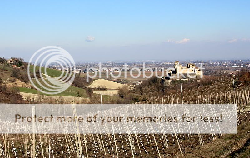 TorrechiaraFebb2009021-1.jpg
