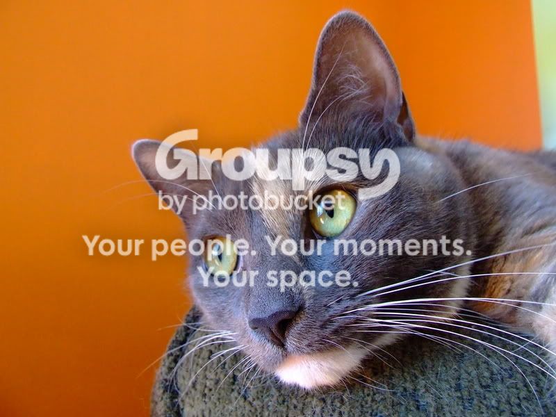 DSCF5396.jpg