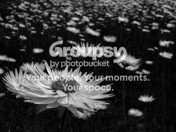 Portfolio016b.jpg