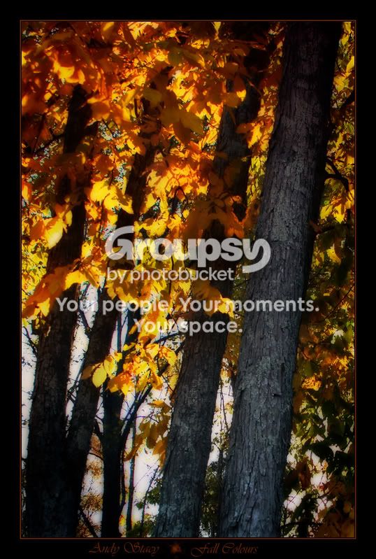 FallColours.jpg